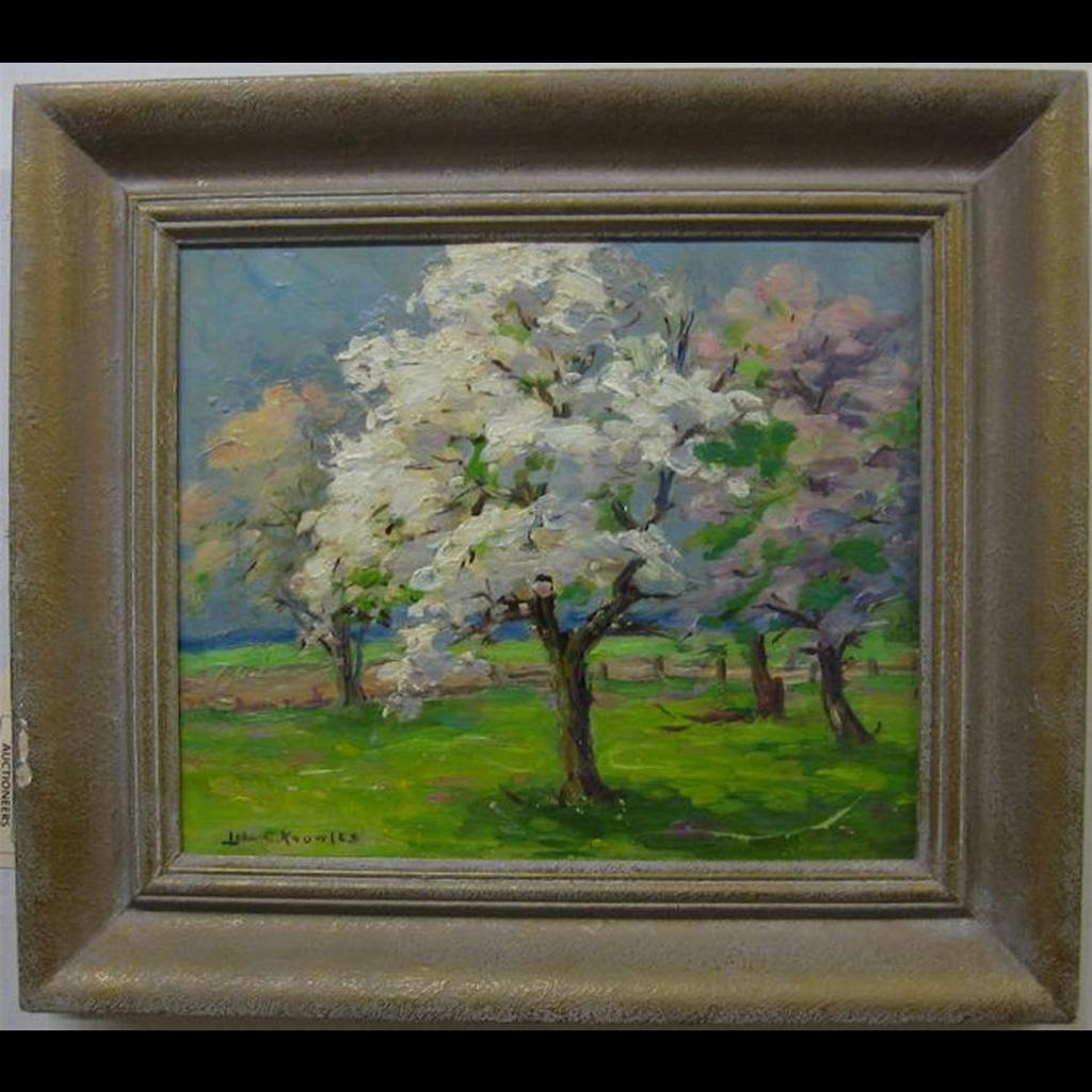 Lila Caroline Mcgillivray Knowles (1886-1967) - Full Bloom