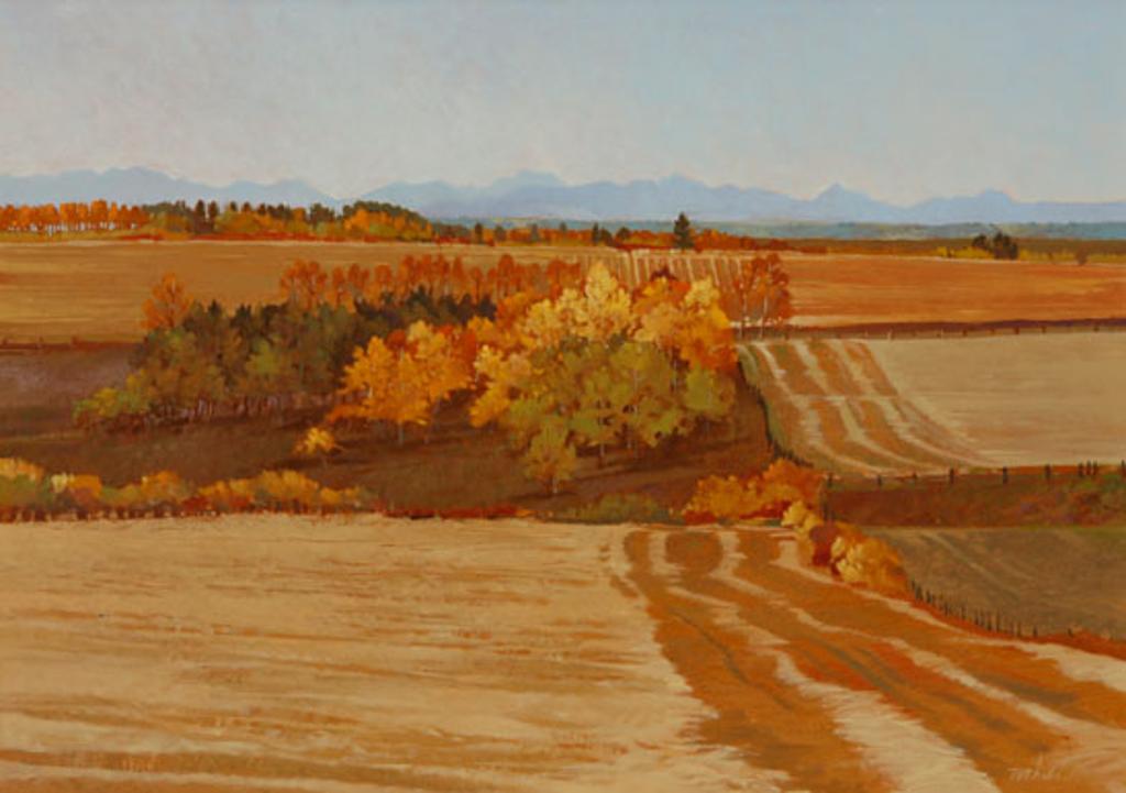 Walter (Drahanchuk) Drohan (1932-2007) - Section Line (03129/276)