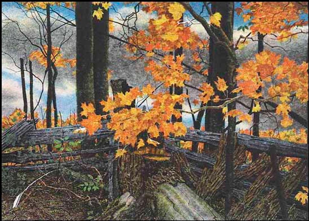 Ants Reigo (1948) - Split Rail Fence (01529/2013-2367)