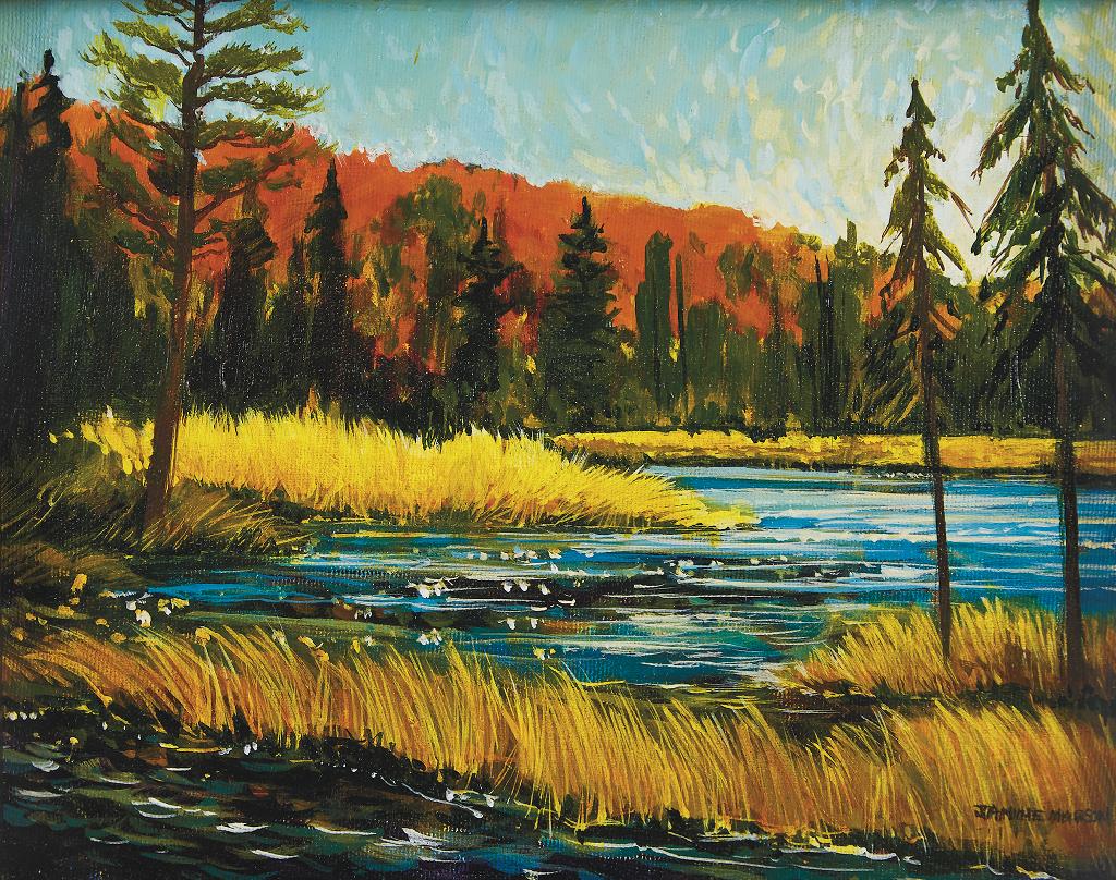 Janine Marson - Eastend Marsh, Algonquin Park