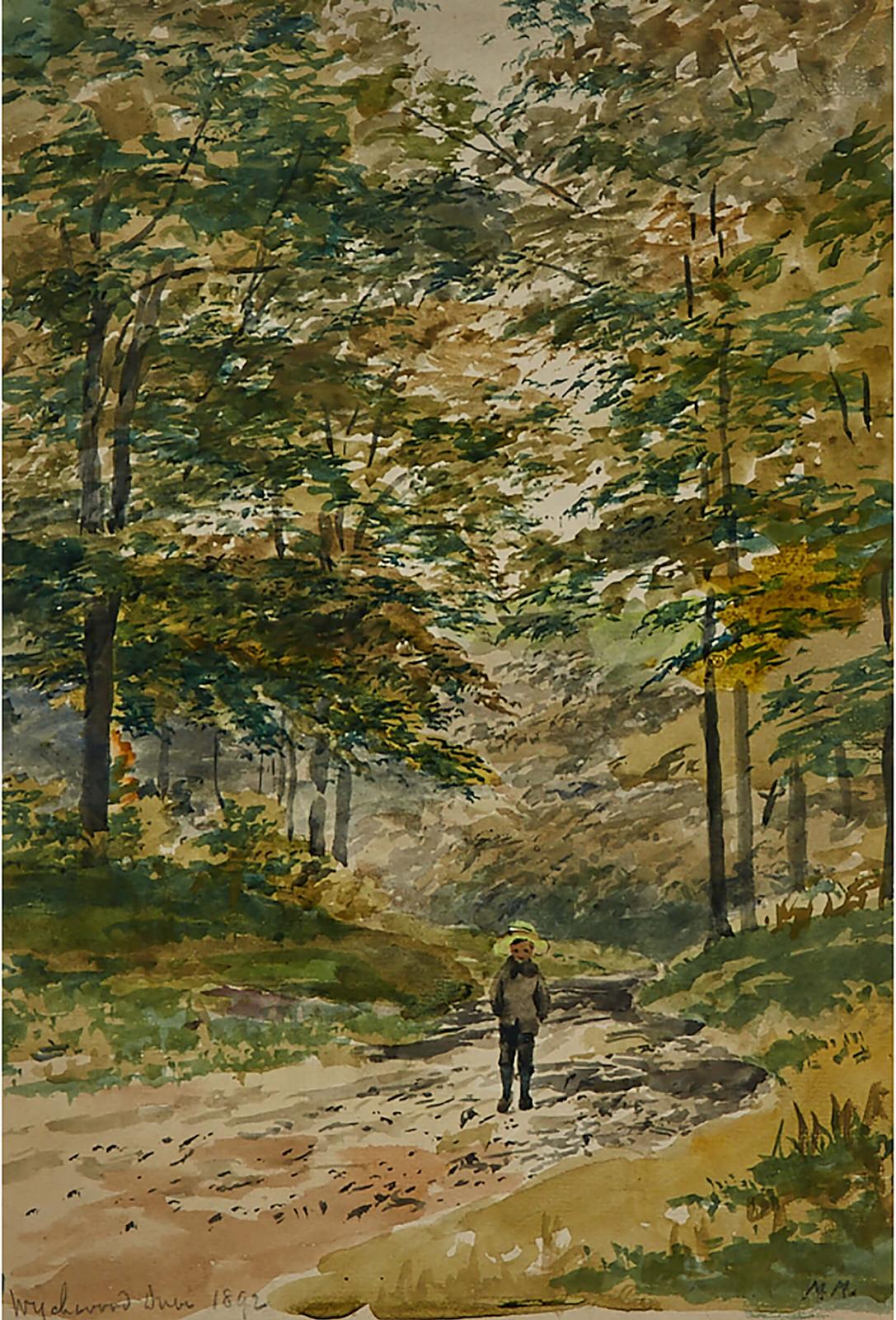 Marmaduke Matthews (1837-1913) - Wychwood Drive, 1892