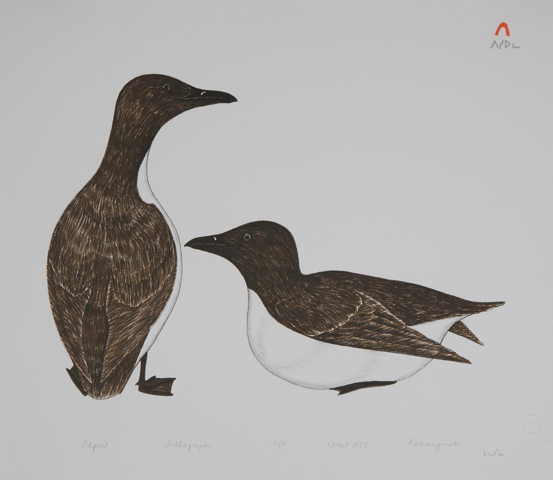 Kananginak Pootoogook (1935-2010) - Akpait