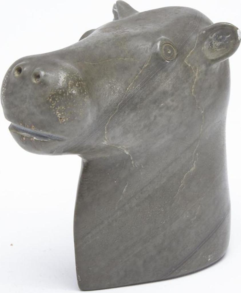 Samson Sala (1931) - Head Of A Young Caribou