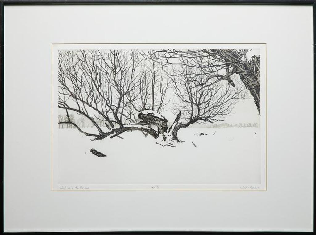 John Benn - Willow in the Snow