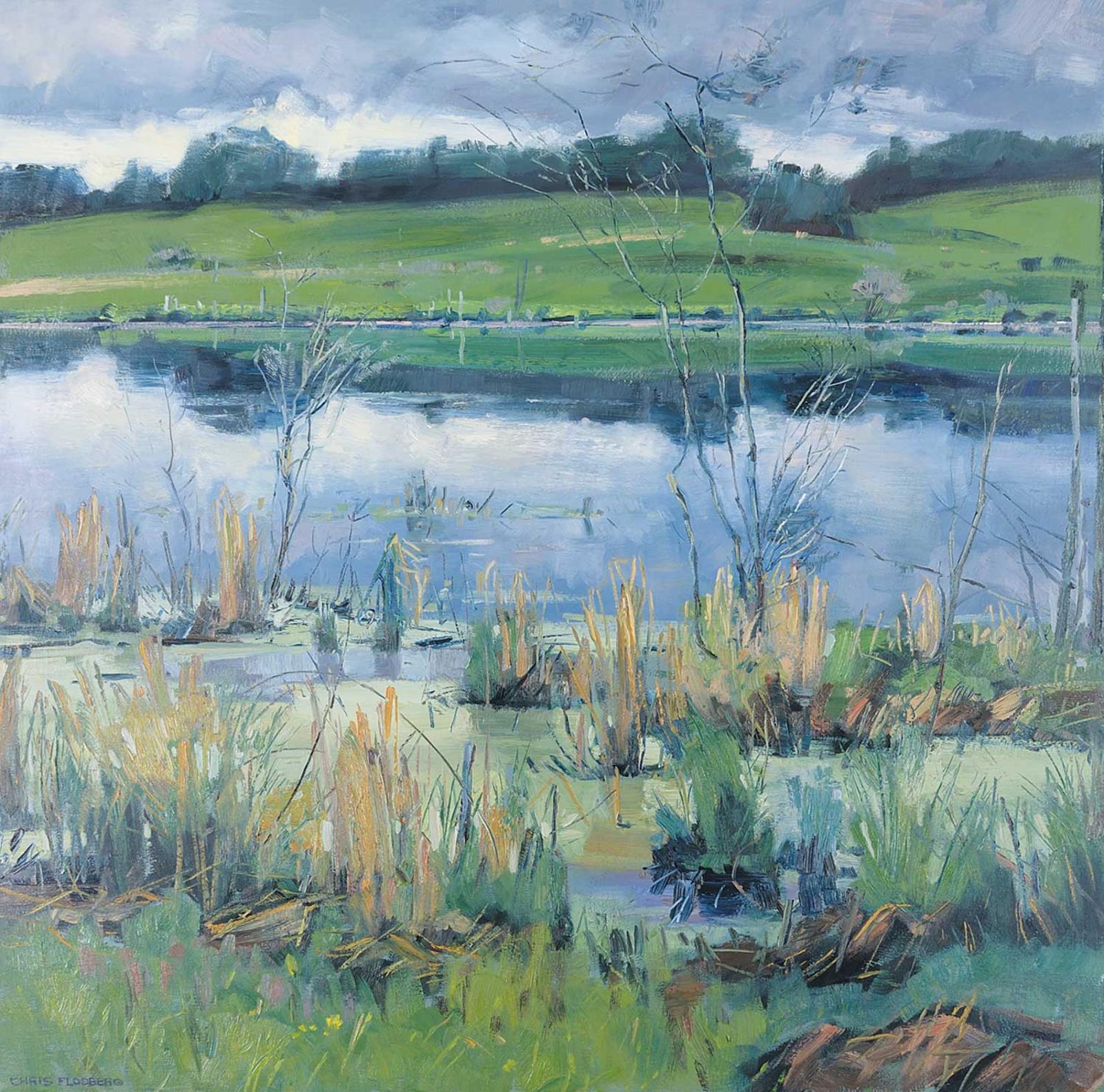 Chris S. Flodberg - Northern Storm