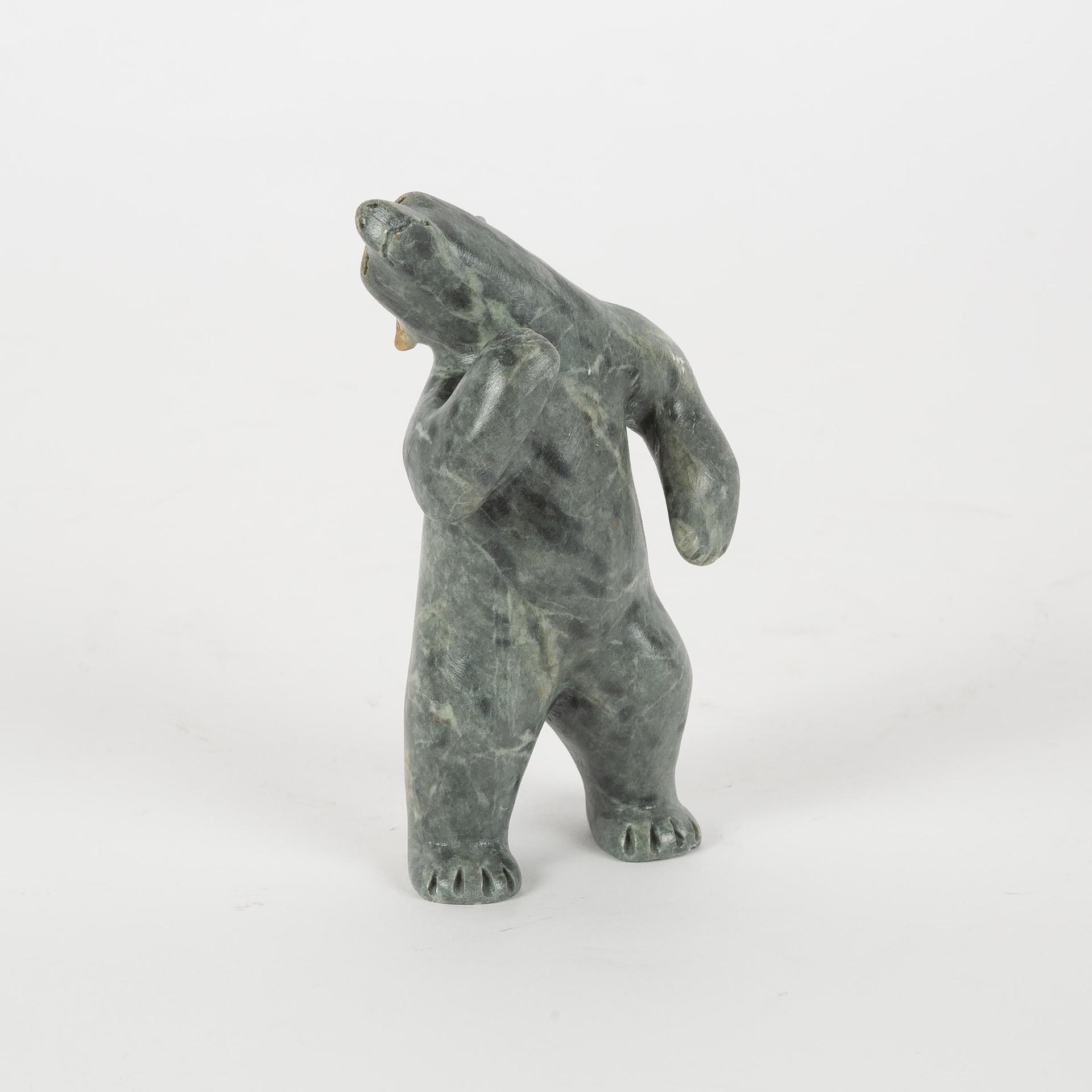 Greg Taylor - Dancing Bear