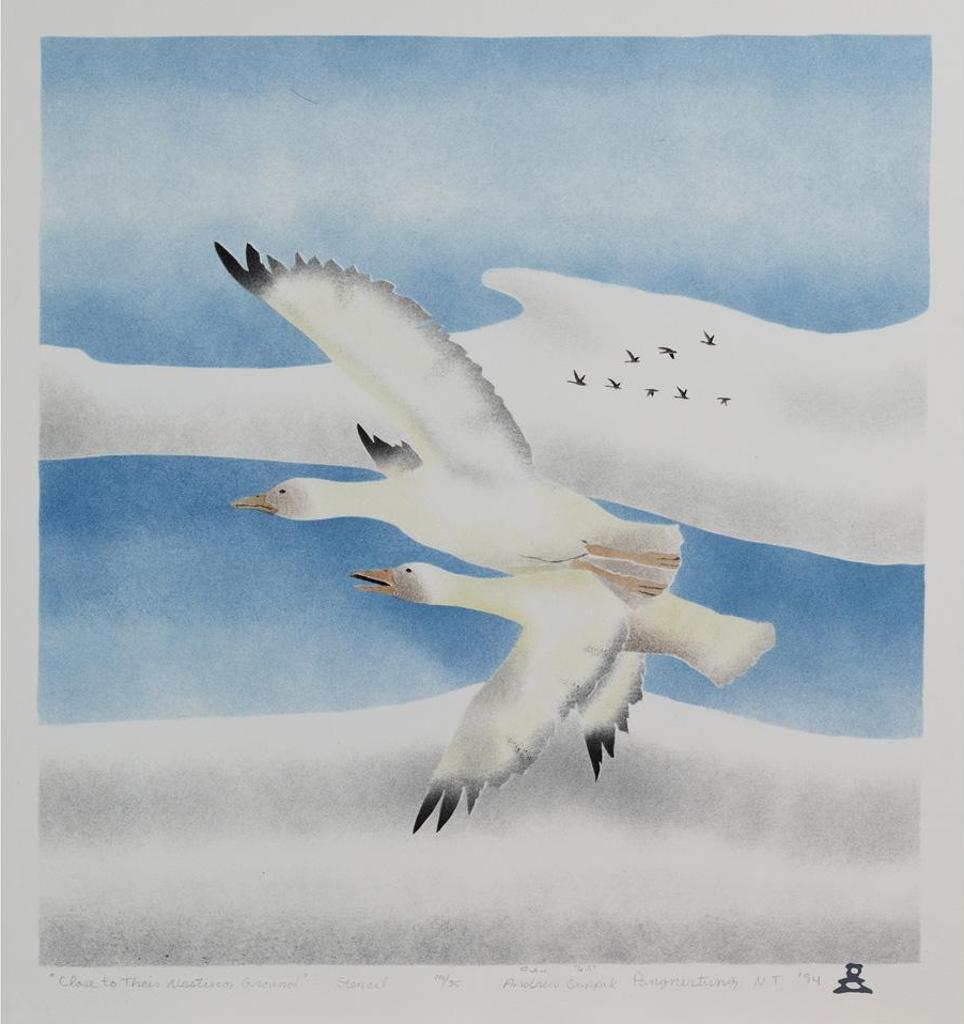 Andrew Qappik Karpik (1964) - Close To Their Nesting Ground