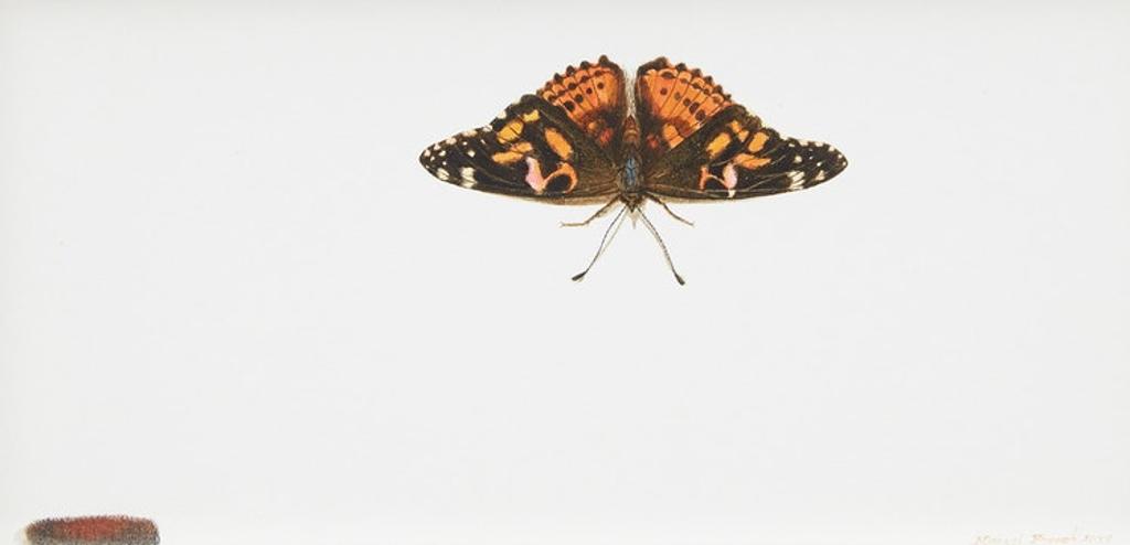 Michael Peter French (1951) - Painted Lady