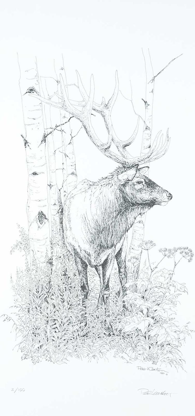 Peter Karsten (1937) - Untitled - Elk  #2/100