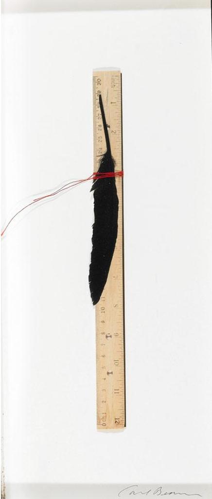 Carl Beam (1943-2005) - Buried Images, 1995