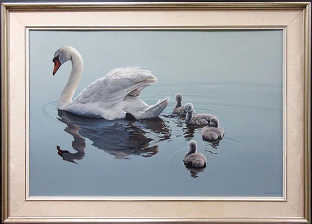 Ronald S. (Ron) Parker (1942) - Following Mama - Mute Swan