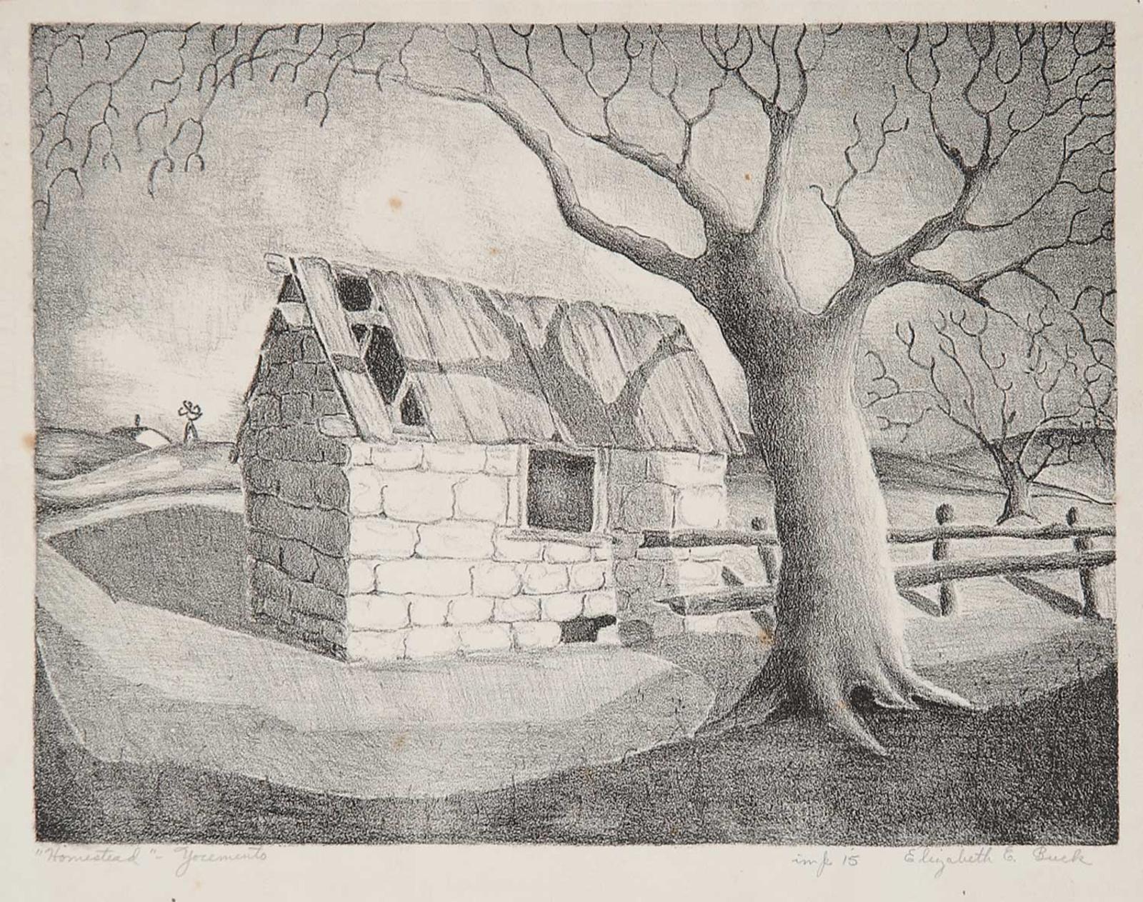 Elizabeth E. Buck - Homestead