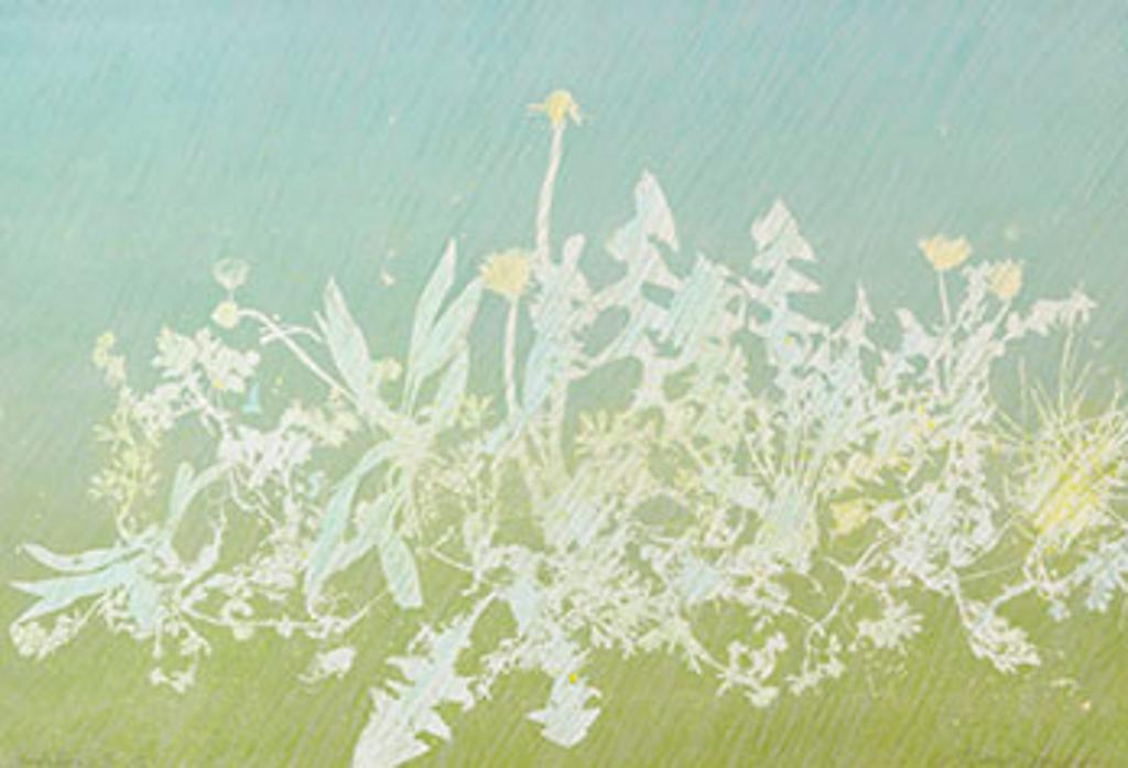 Anna Chou Ying Wong (1930) - Dandelion III (03978)