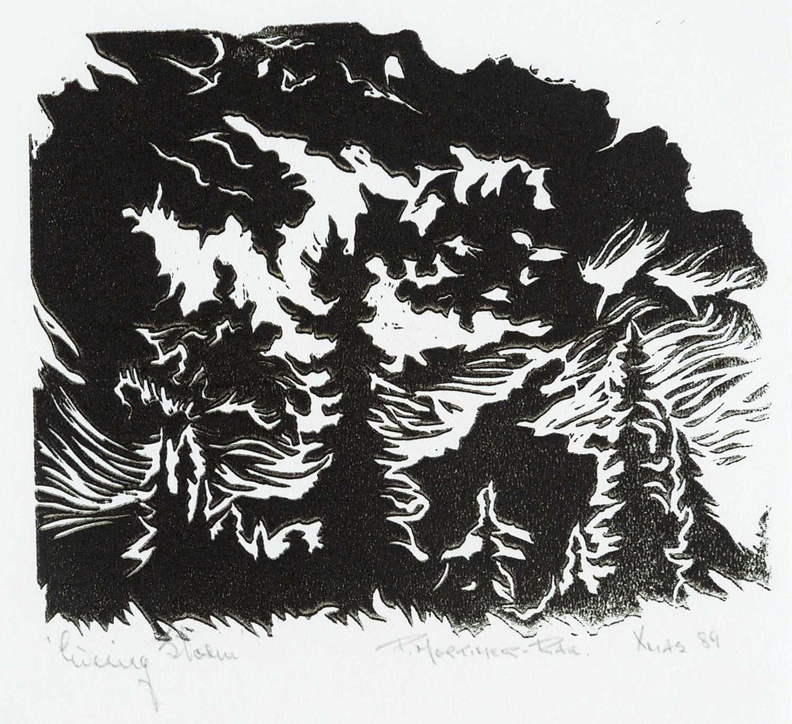 Peter Mortimer-Rae (1931) - Evening Storm