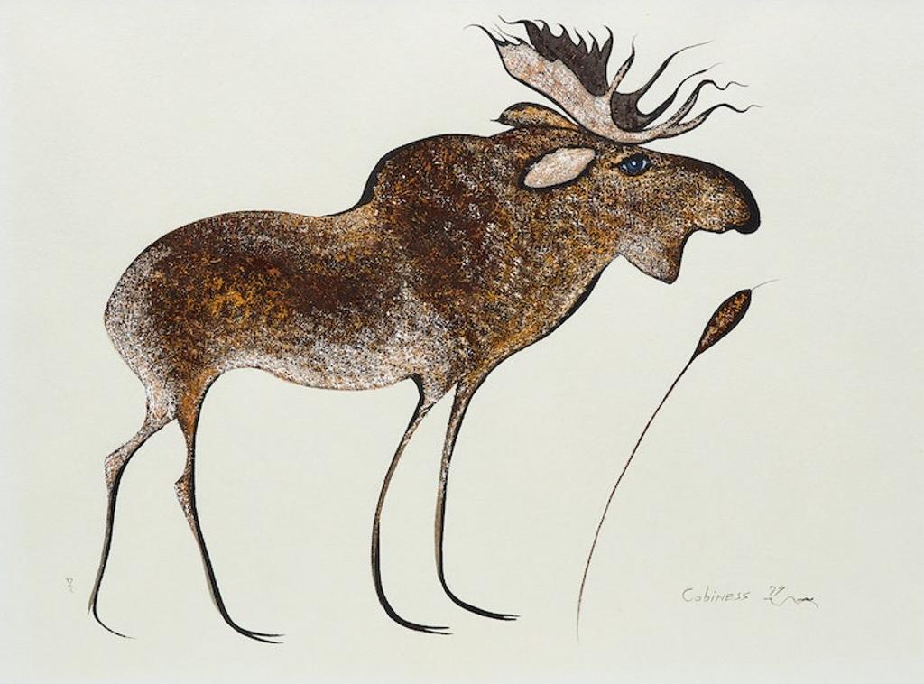 Eddy Cobiness (1933-1996) - Moose