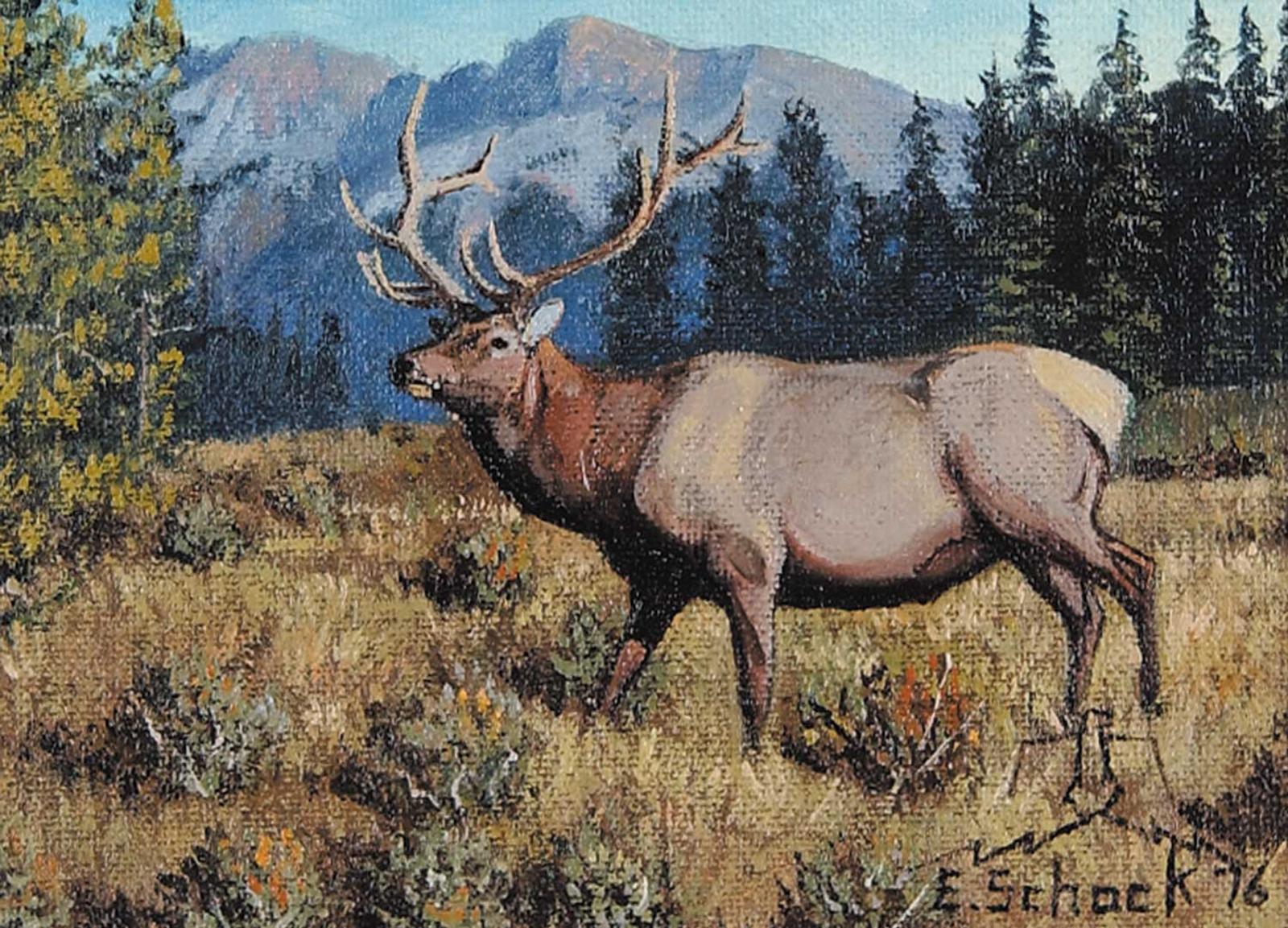 Elmer Schock (1970) - Elk [small]