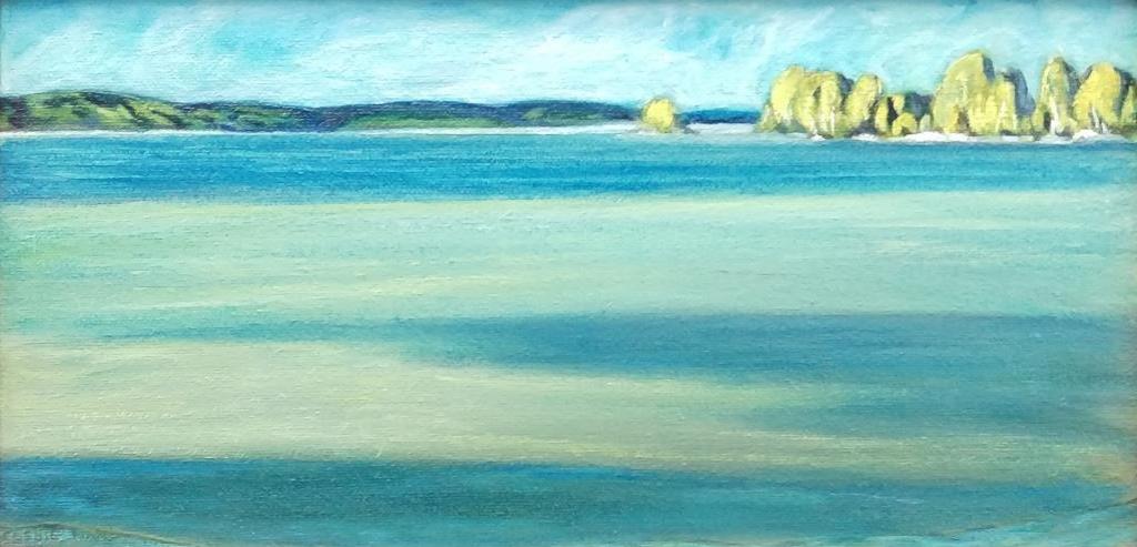 Douglas Cosbie Ware (1955) - Summer Evening, Ottawa River, 1997