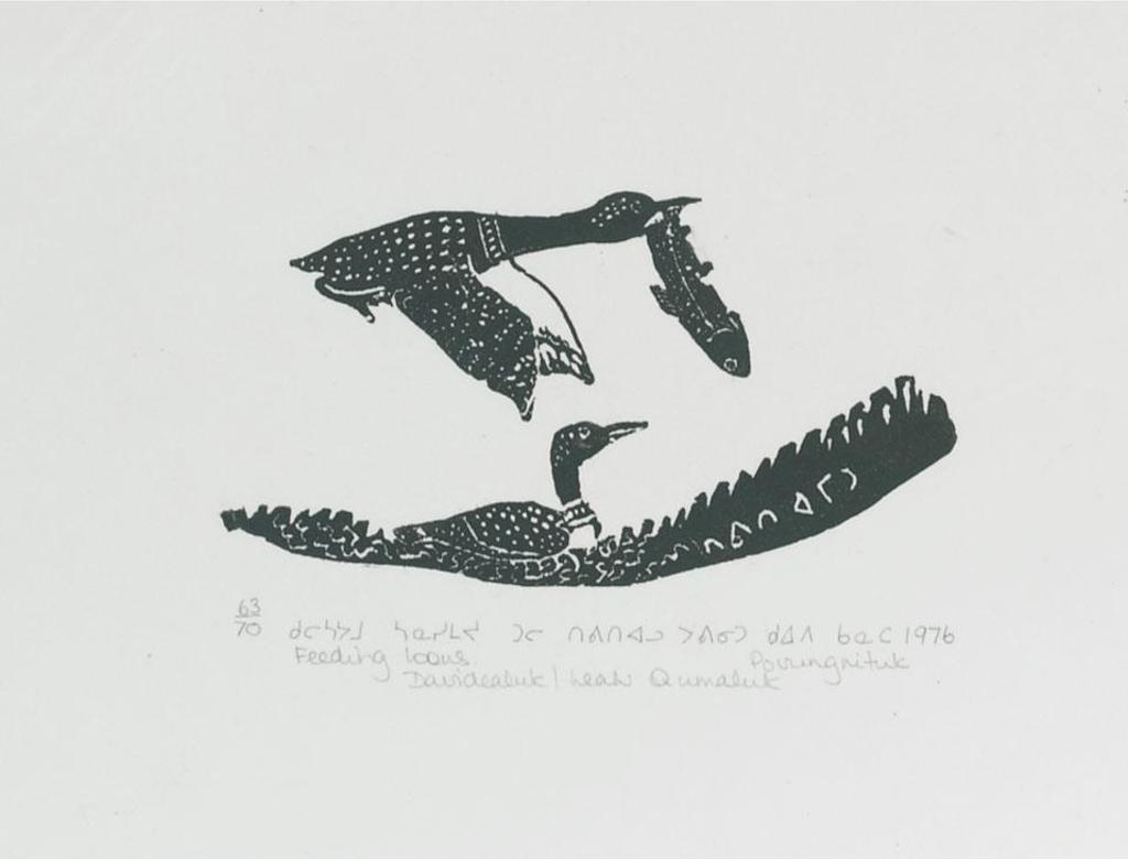 Davidialuk Alasua Amittu (1910-1976) - Feeding Loons