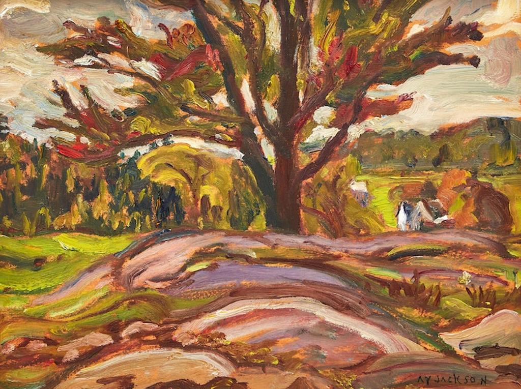 Alexander Young (A. Y.) Jackson (1882-1974) - Sugar Maple, Brownsburg, QC