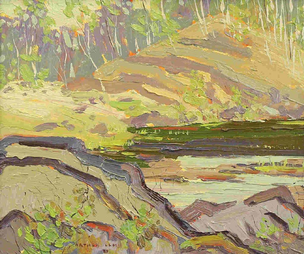 Arthur George Lloy (1929-1986) - Quarry Pond; 1980