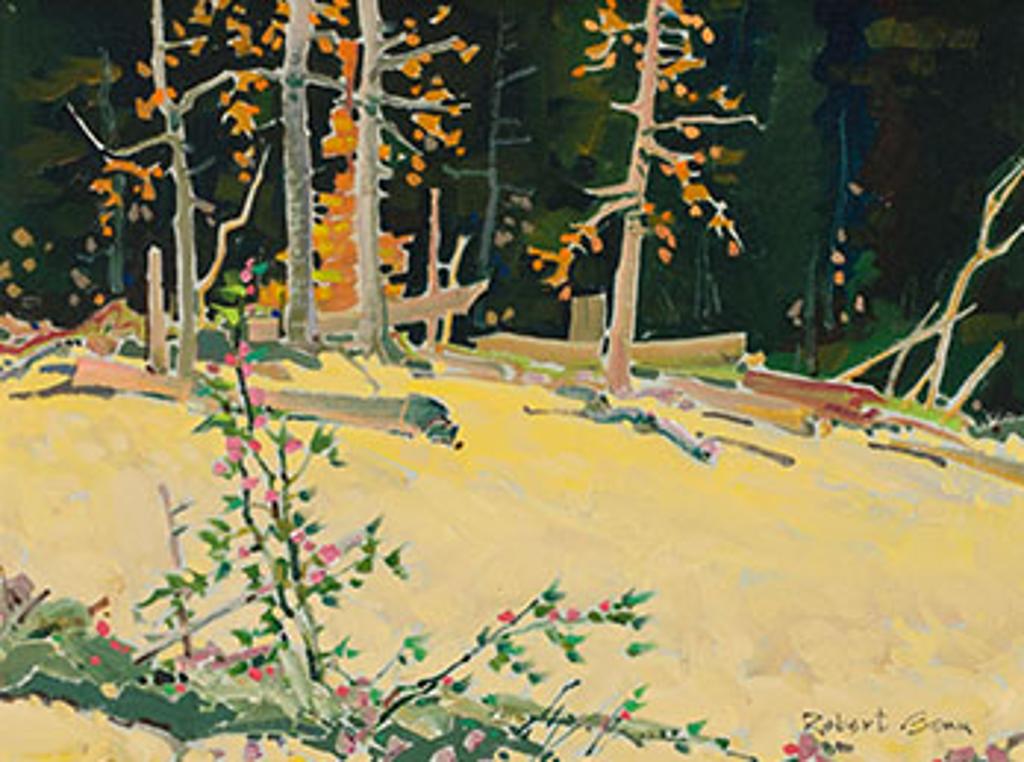 Robert Douglas Genn (1936-2014) - Dark Forest Edge