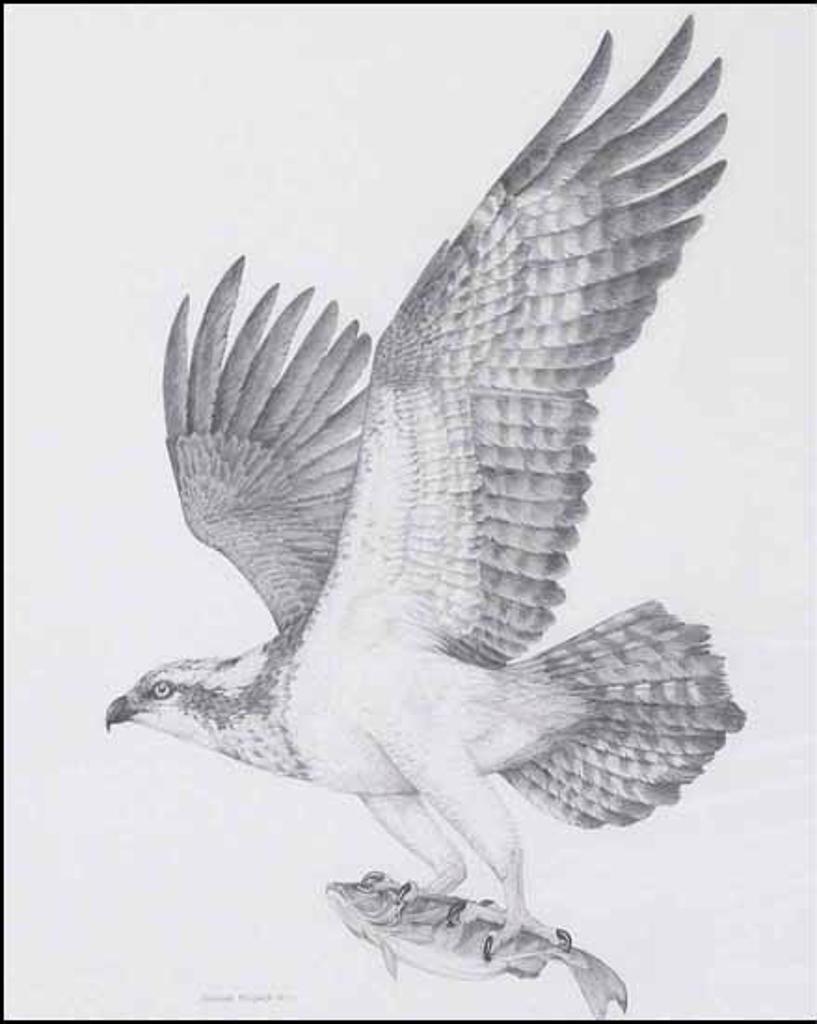 Heather McClure - Hawk and Fish (01730/2013-359)