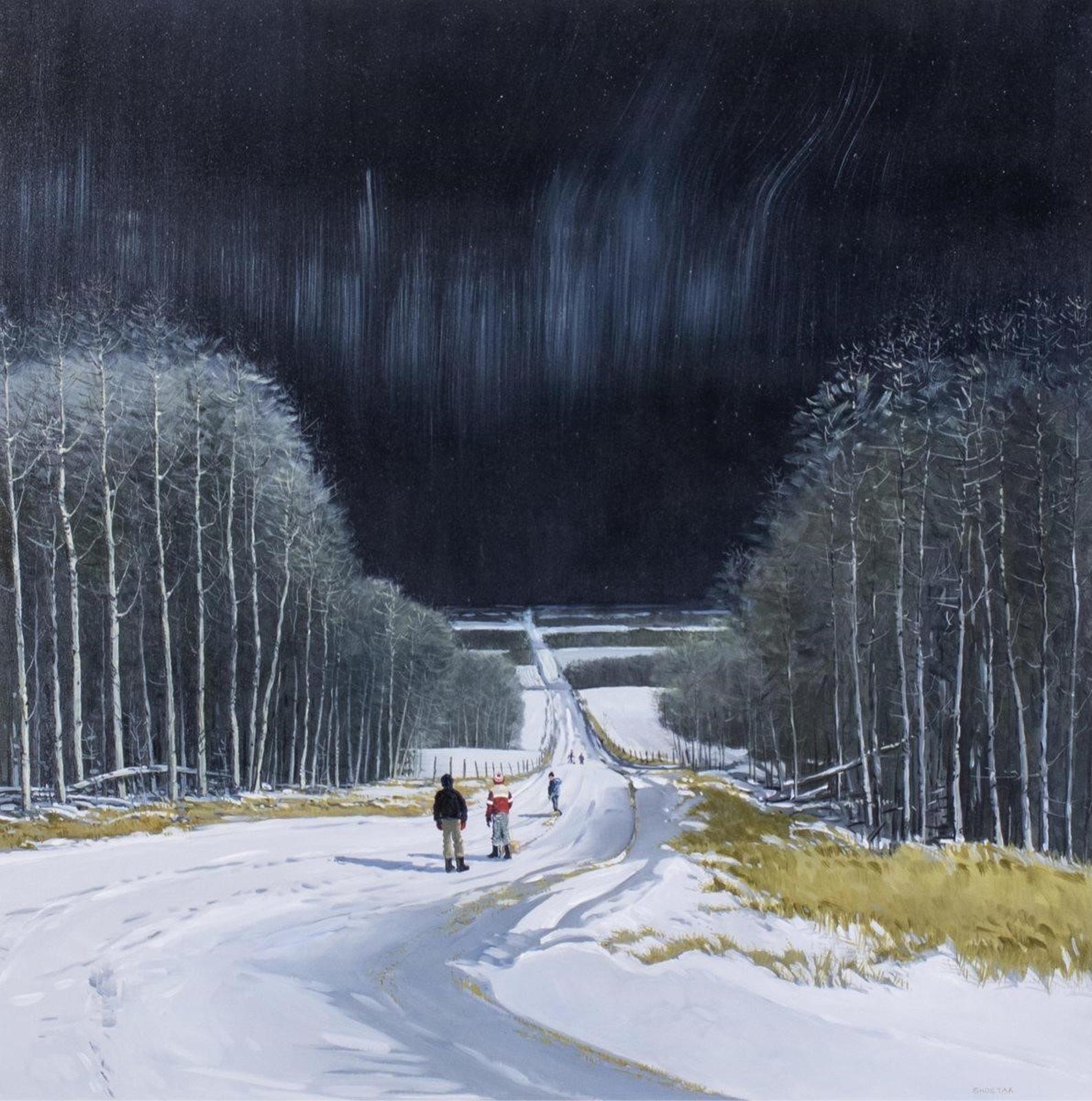 Peter Shostak (1943) - Tobogganing Under The Stars