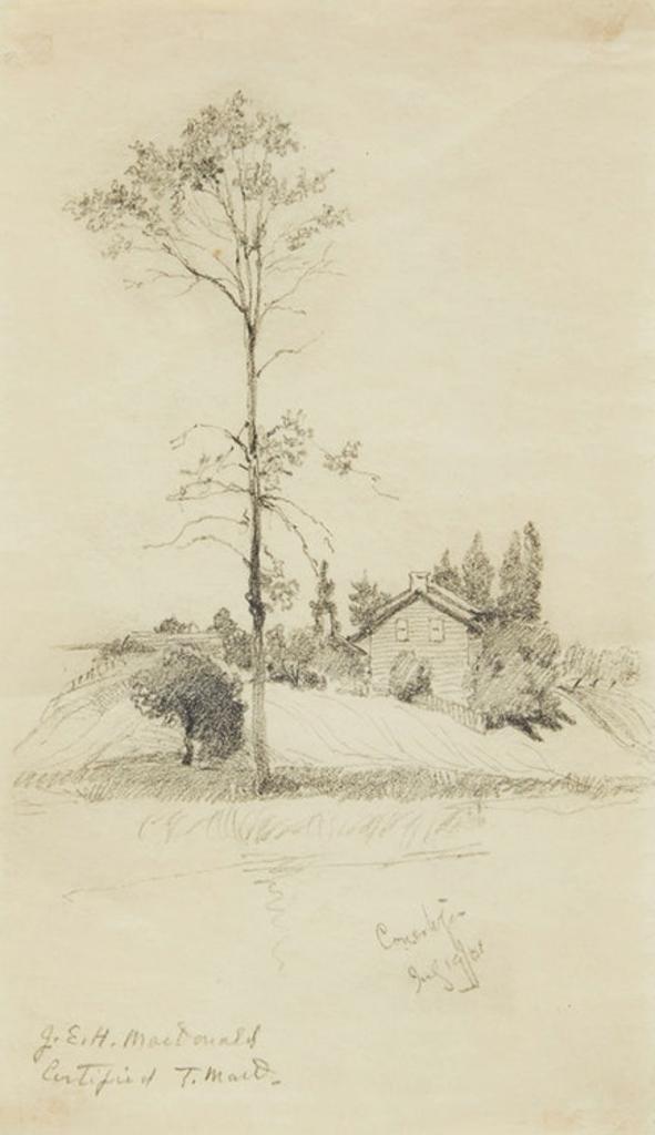 James Edward Hervey (J.E.H.) MacDonald (1873-1932) - Homestead