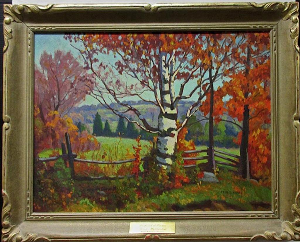 Frederick Stanley Haines (1879-1960) - Birch - Haliburton (Between Haliburton And Wilberforce)