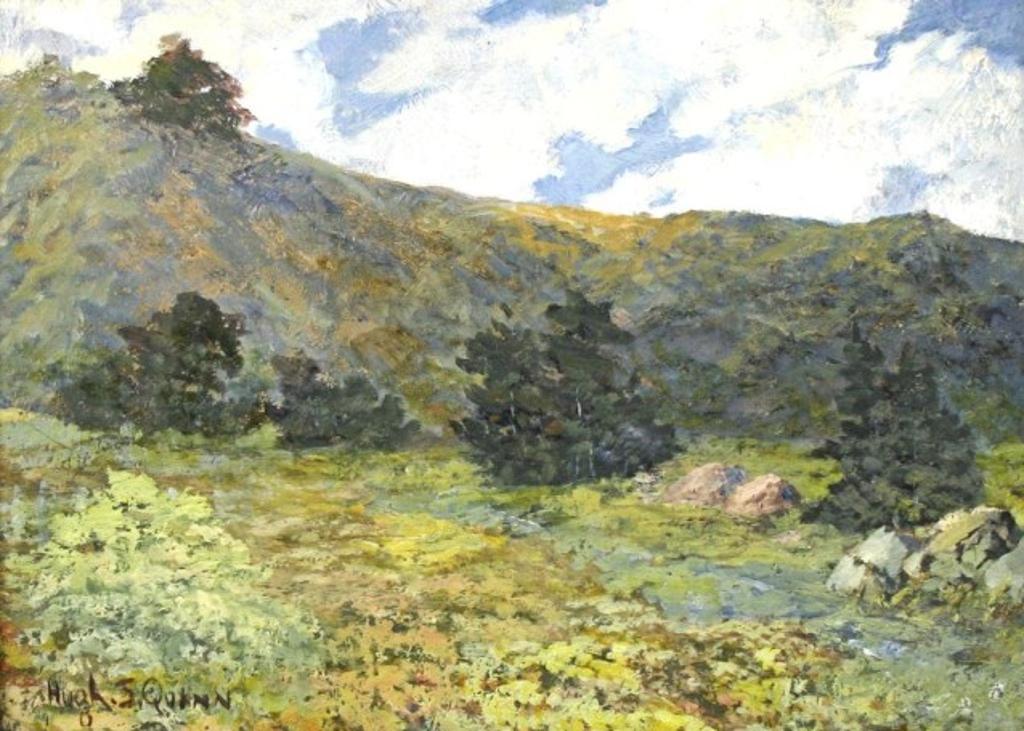 Hugh S. Quinn - Atmosperic Lanscape - Gatineau