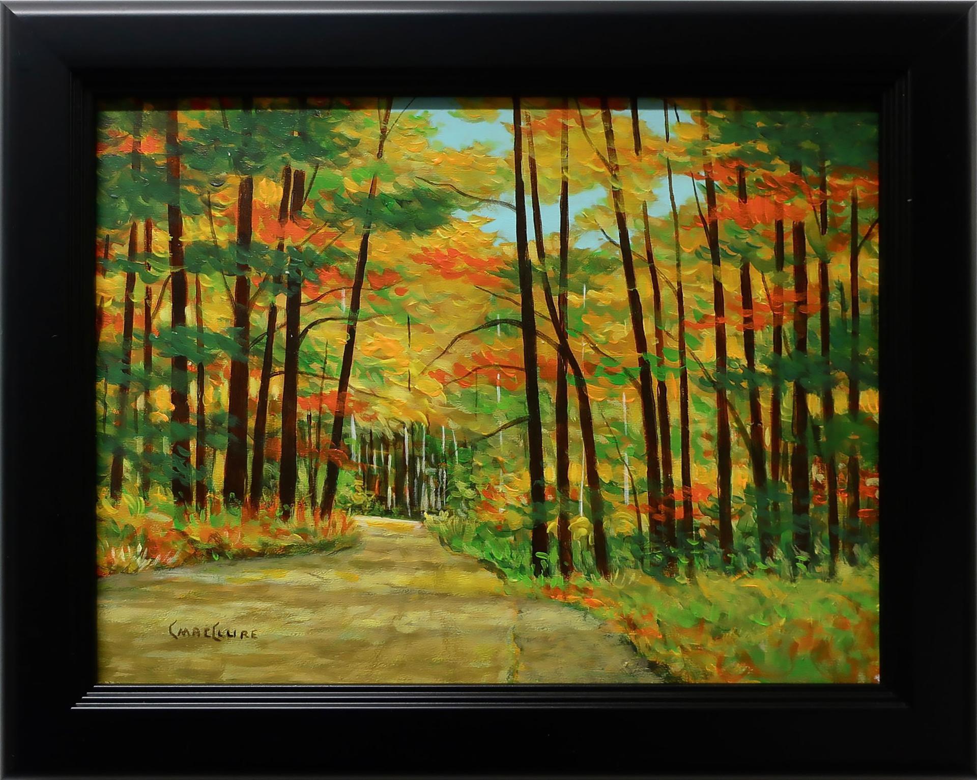 Chris MacClure (1943) - Walk In The Woods