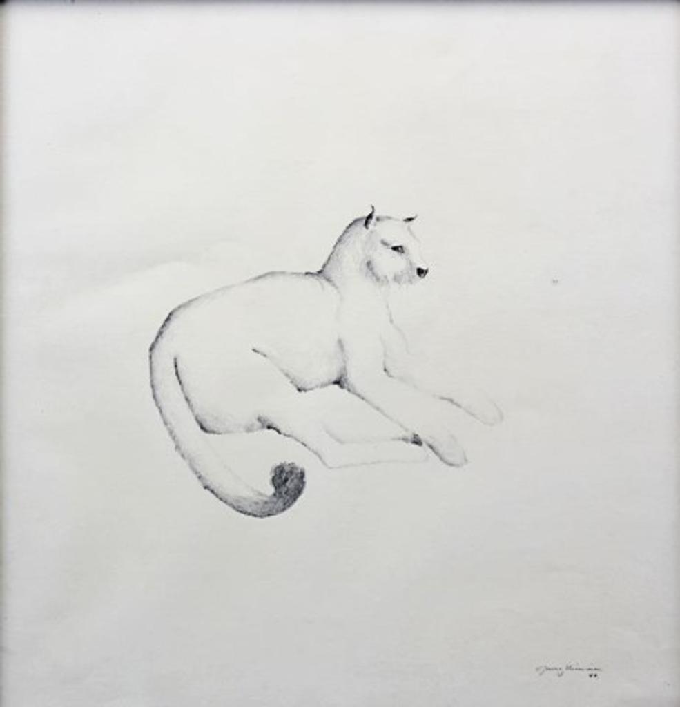 Jorma Niemenen (1940) - Cat
