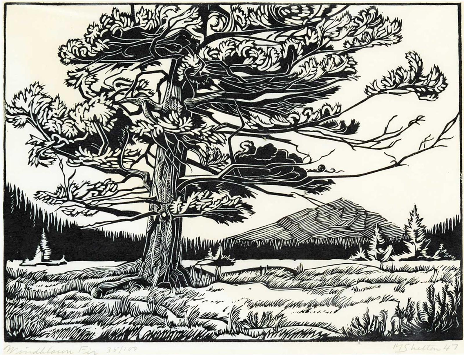 Margaret Dorothy Shelton (1915-1984) - Windblown Fir  #35/100