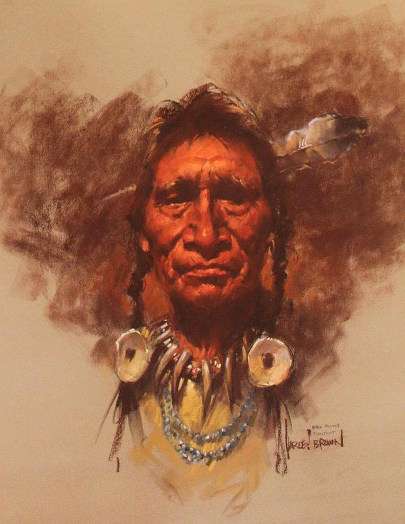 Harley W. Brown (1939) - BULL PLUME