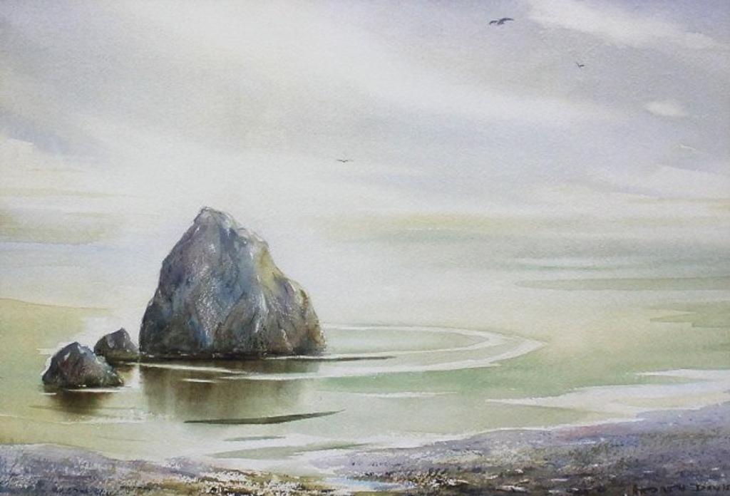 Ardath Davis - Rocky Shoreline