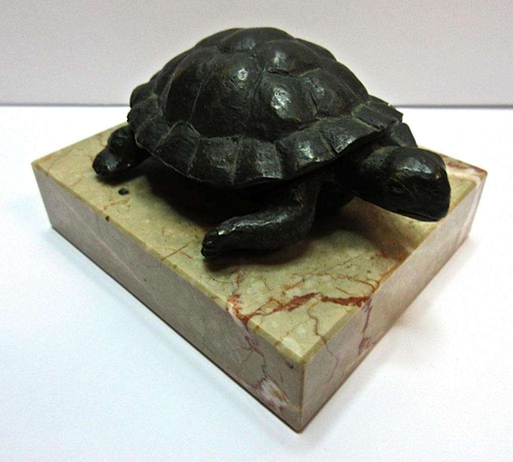 Siegfried - Turtle
