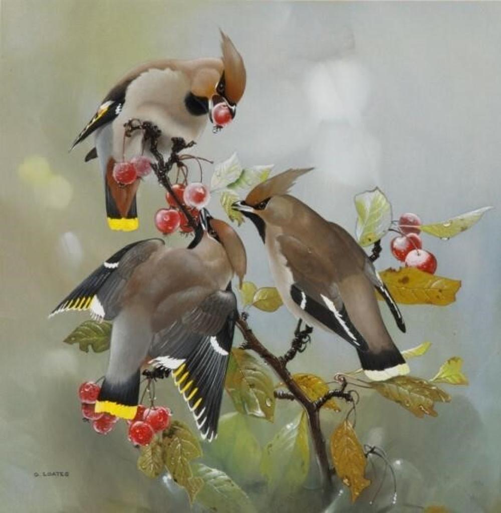 Glen Loates (1945) - Bohemian Wax Wings