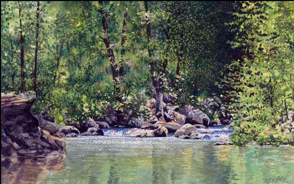 Gary Whitley (1944) - Spring Reflections (01933/2013-481)