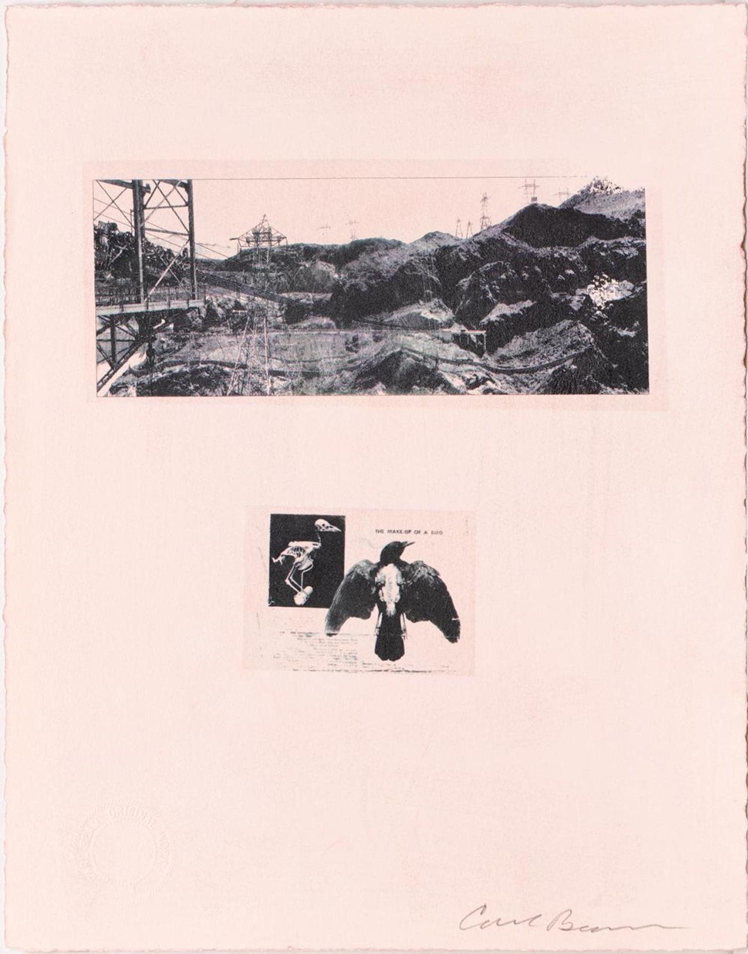 Carl Beam (1943-2005) - The Make-Up of a Bird