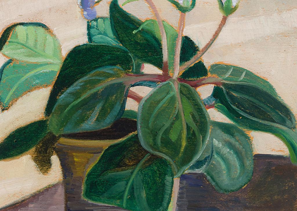 Anne (Annie) Douglas Savage (1896-1971) - Gloxinia