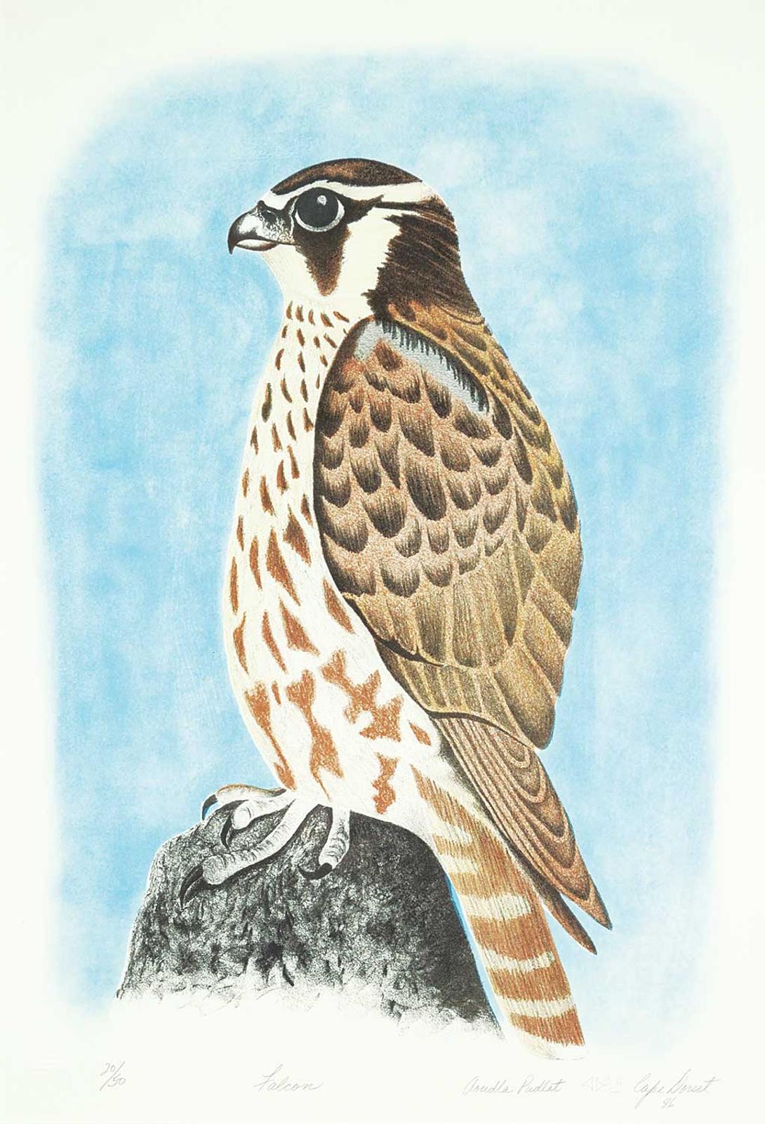 Pudlat (1923) - Falcon #20/50