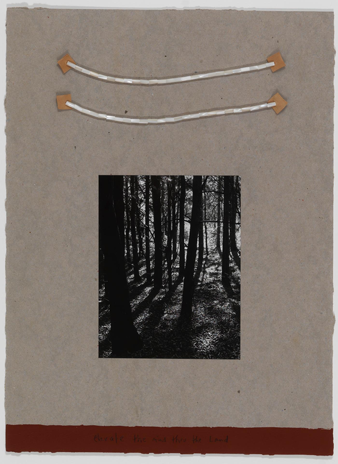 Greg Staats (1963) - Elevate the Mind Through the Land