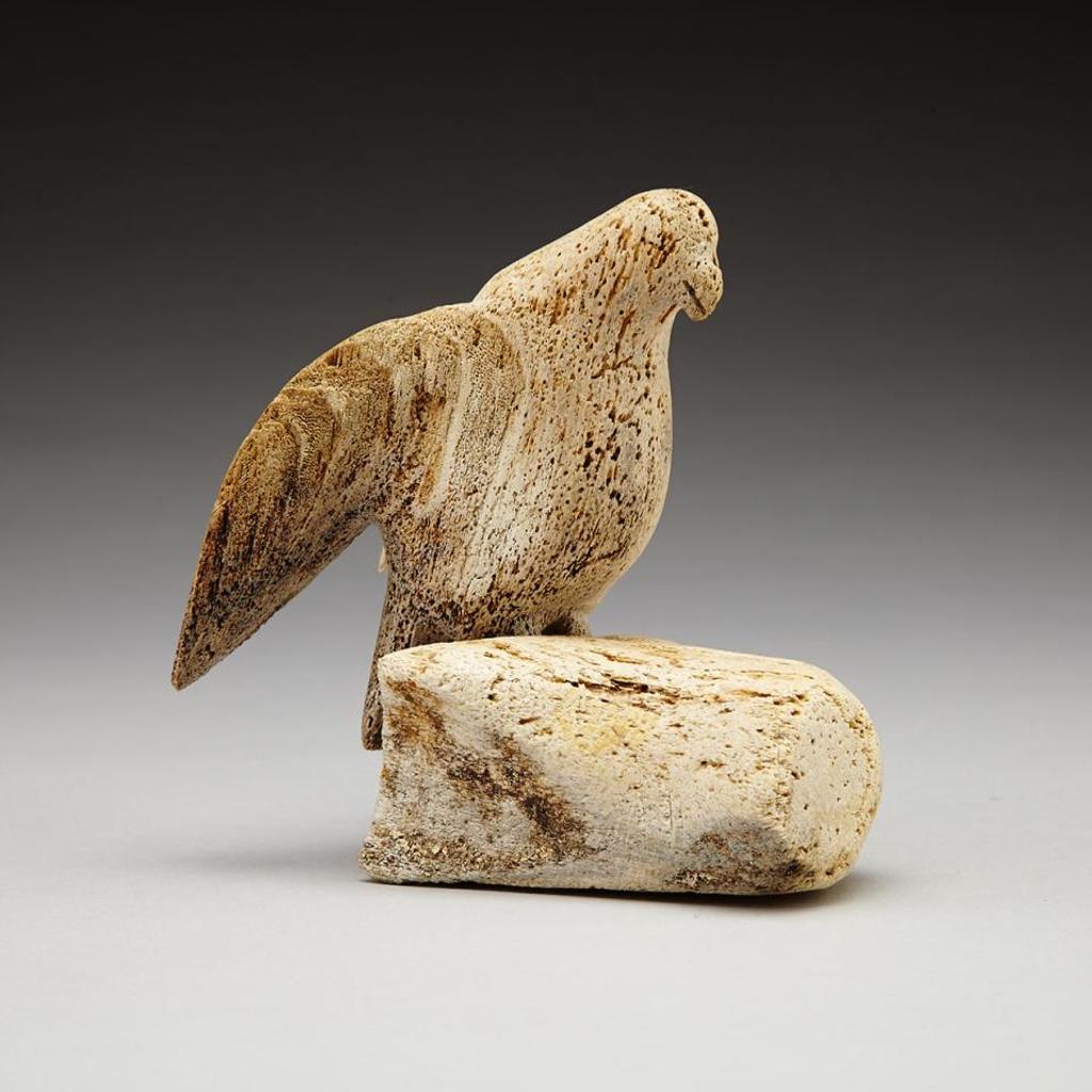 Karoo Ashevak (1940-1974) - Bird