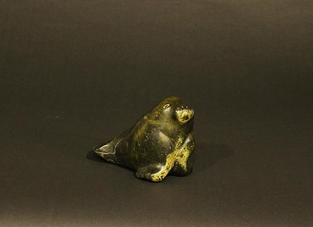Arksotingwa - Cape Dorset