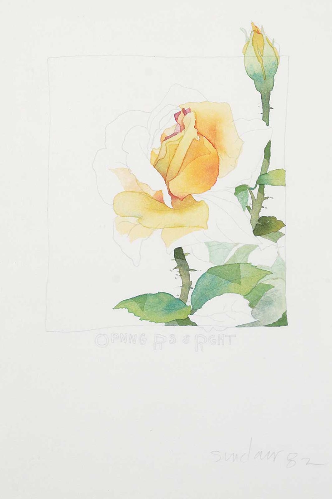 Robert William Sinclair (1939) - Opening Rose and Right