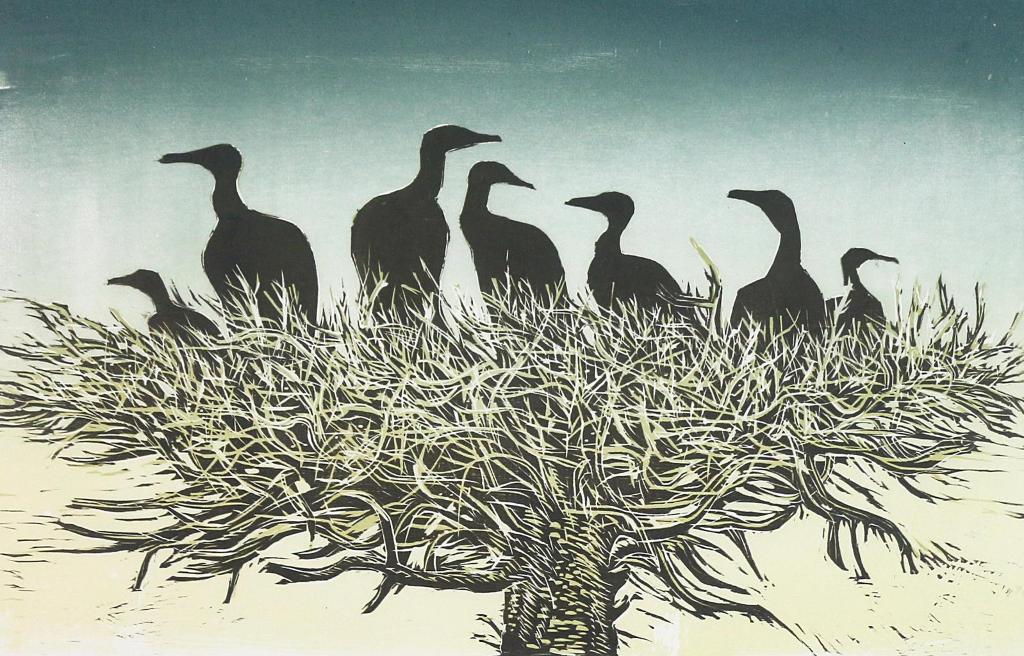 Sam Black (1913-1998) - Cormorants