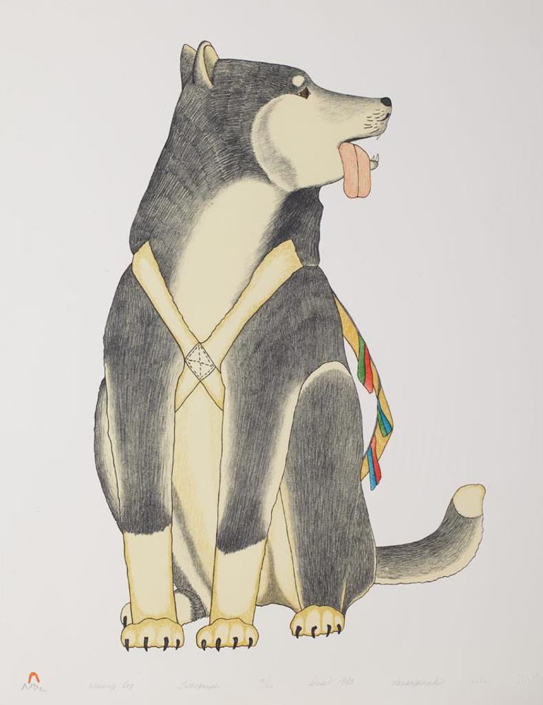 Kananginak Pootoogook (1935-2010) - Working Dog
