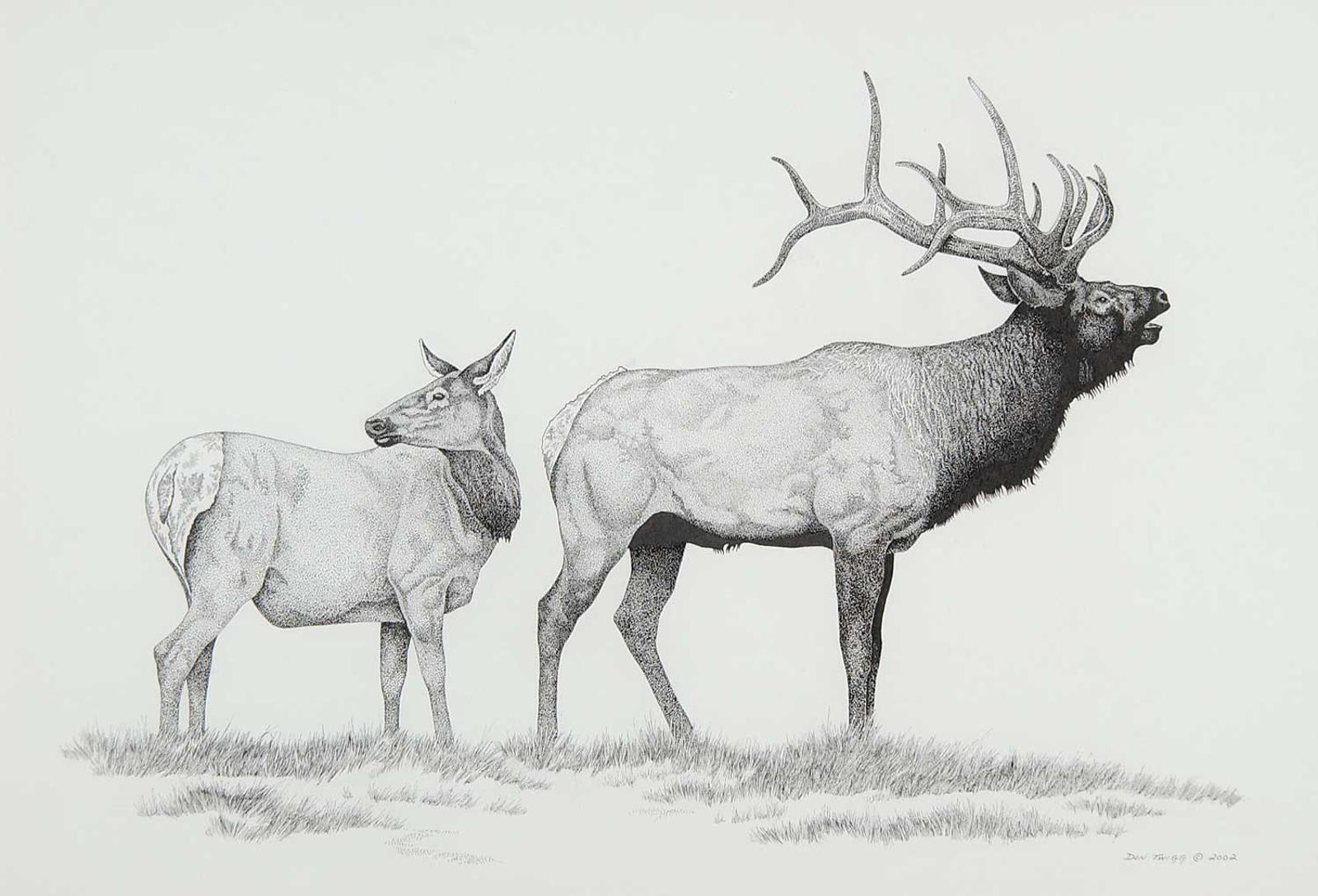 Don Twigg - Untitled - Elk