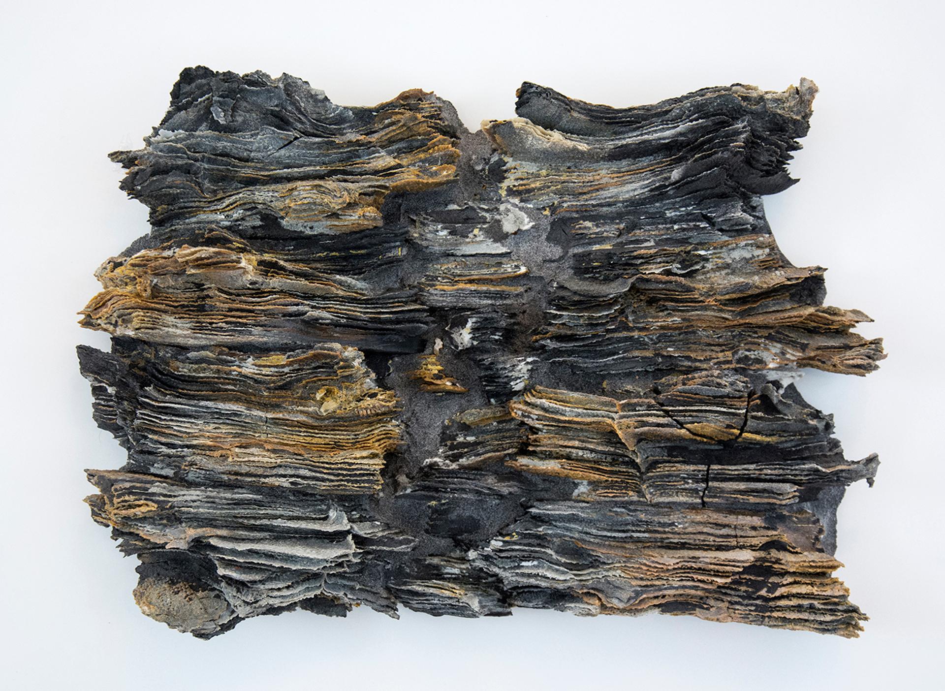Cheryl Wilson-Smith - Granite Craig, 2019
