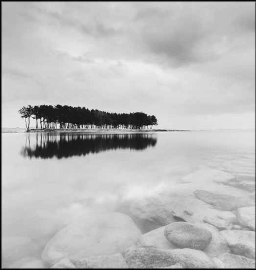 Michael Kenna (1953) - Pine Trees, Study 2, Wolcheon, Gangwondo, South Korea